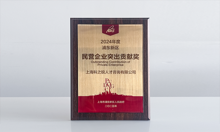 人力资源供应商ballbet艾佛森体官网国际凭借人才服务与在区域经济开展中的卓越表现荣膺2024年度浦东新区民营企业奖项